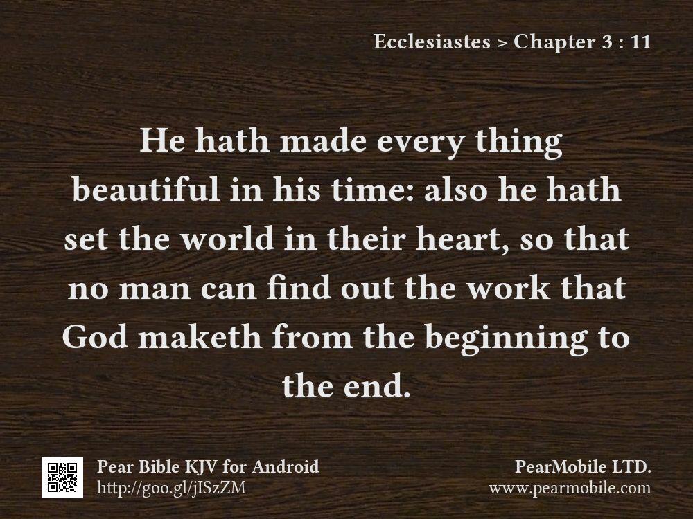Ecclesiastes, Chapter 3:11
